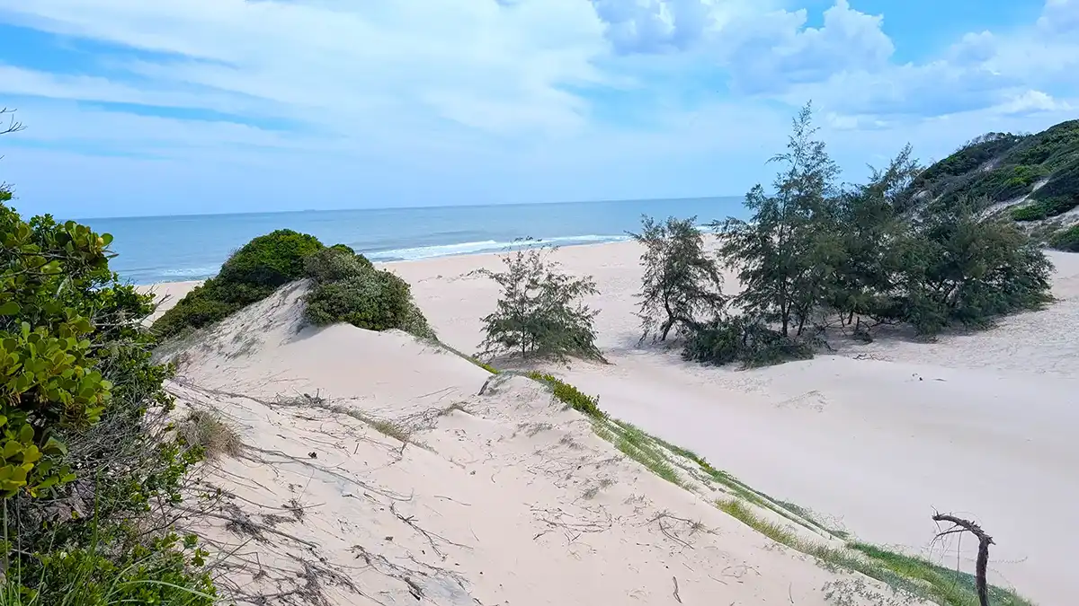 Dunes and ocean