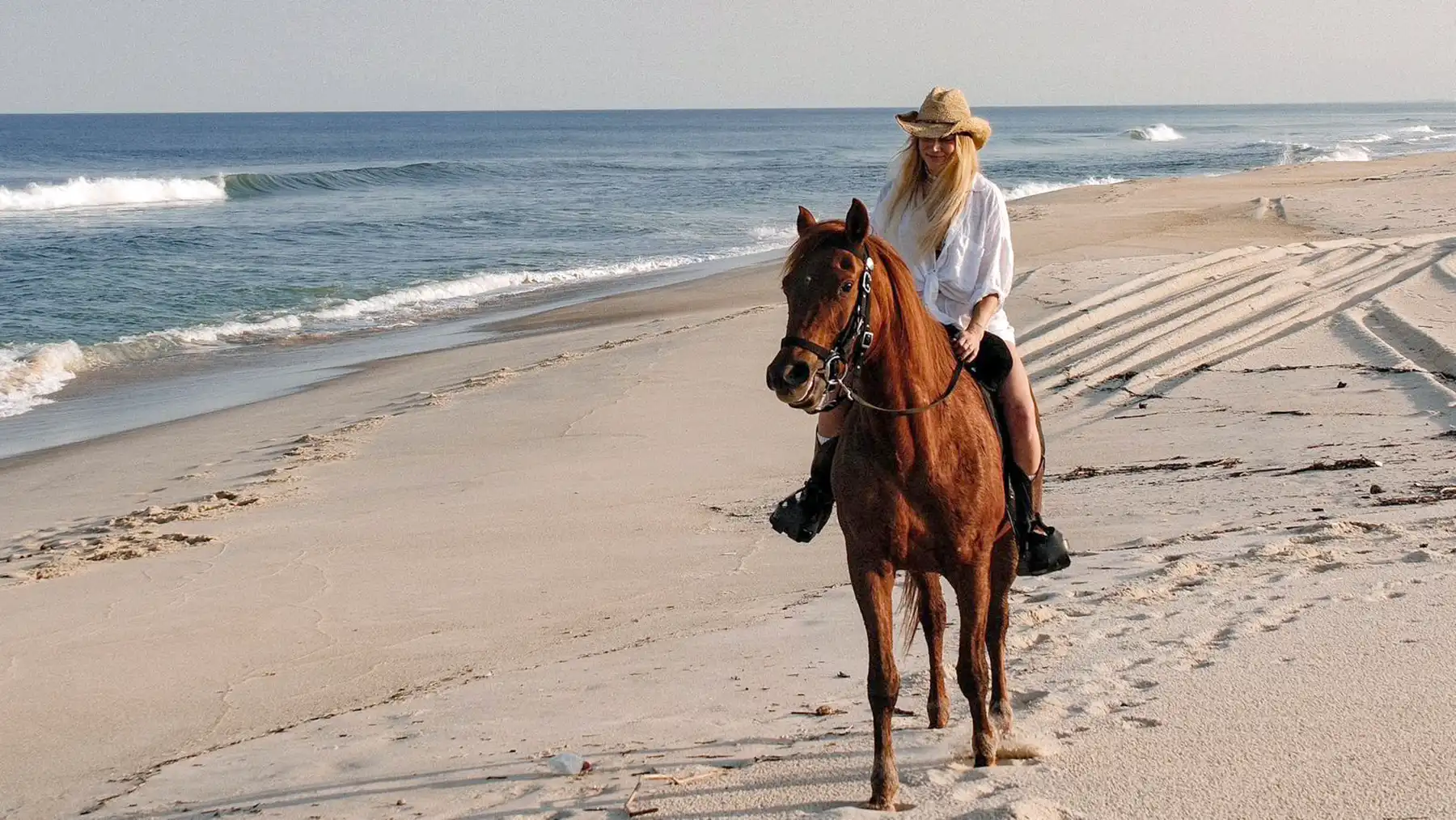 Guest riding a horse on the beach