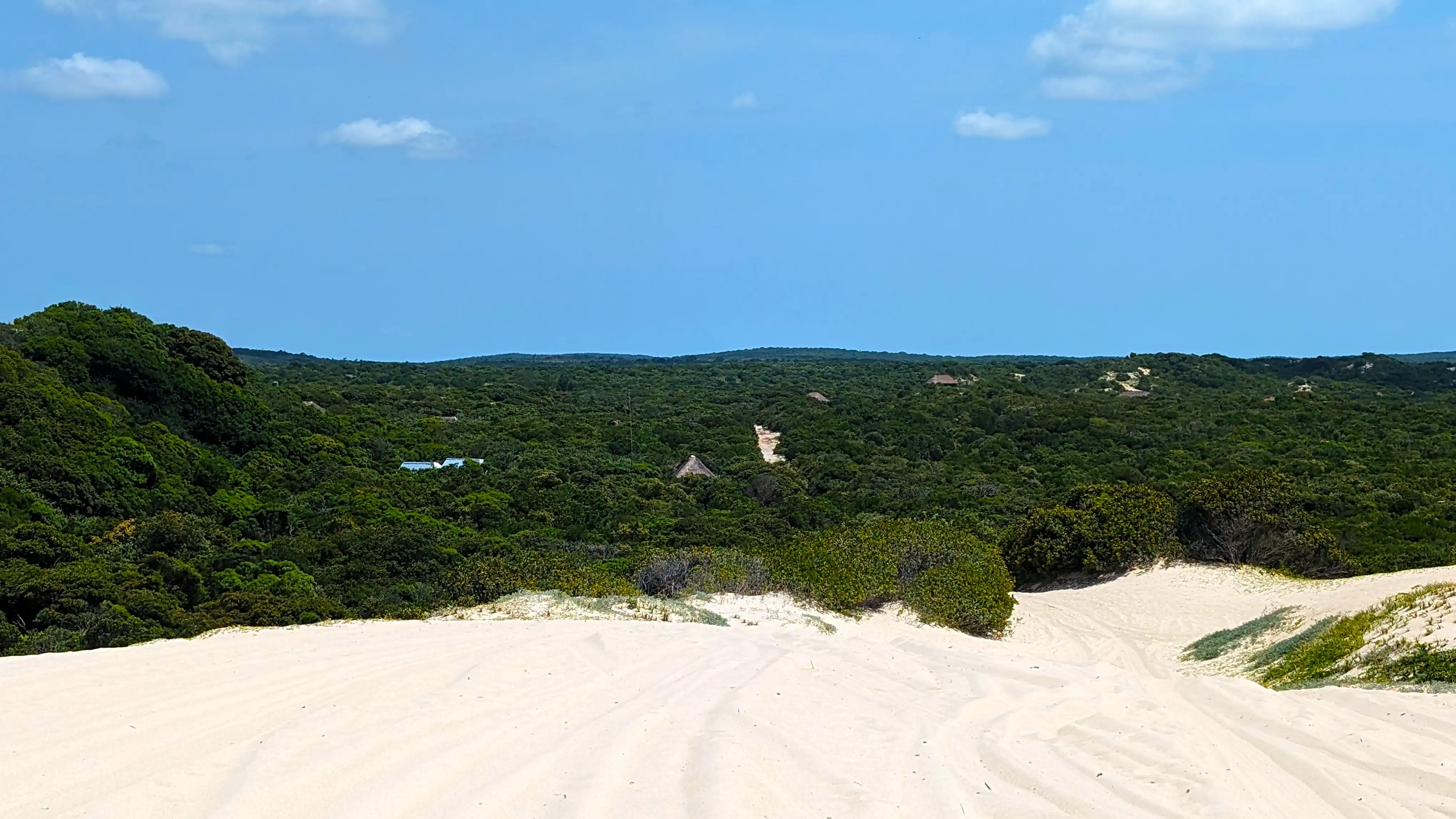 Dune Forest of Calanga