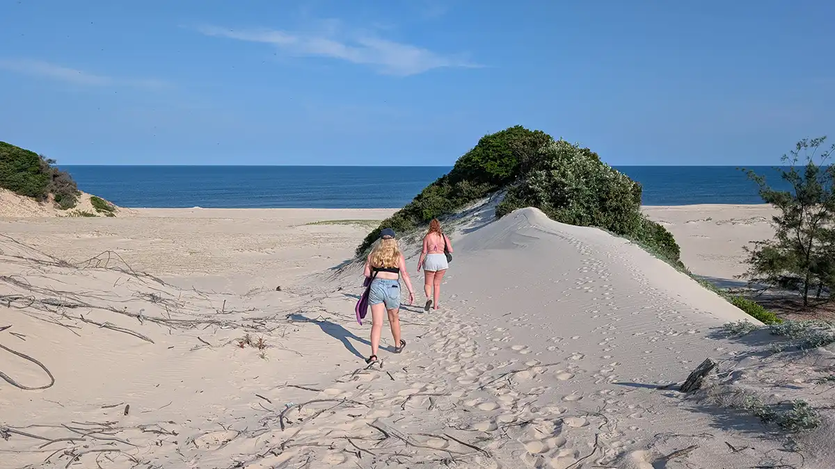 Dunes and beach at Dune Beach Hostel, Calanga, Mozambique