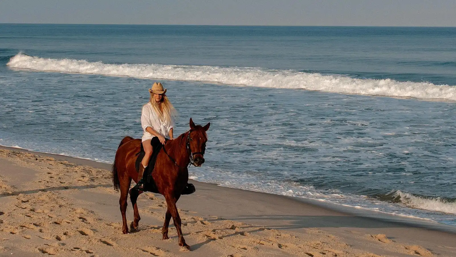 Guest on a Horse at the beach in Calanga